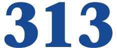 313