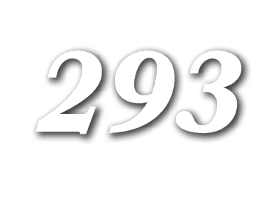 293