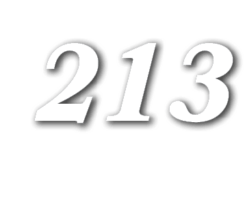 213