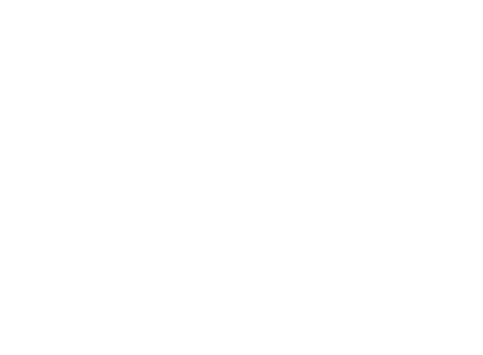 New Member Liaison Secretary Spirit Chair President Vice President New Member Liaison