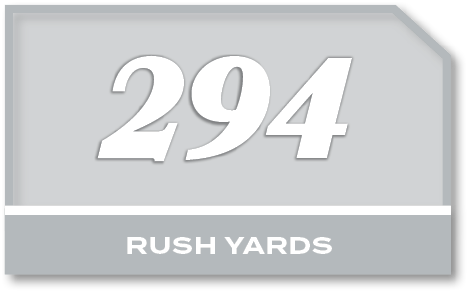 294,rush YARD