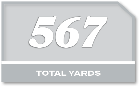 567,total YARD
