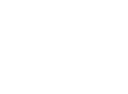 New Member Liaison Secretary Spirit Chair President Vice President New Member Liaison