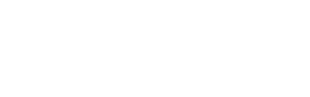 senior | rb/lb/k | #36 Bostyn Wilson