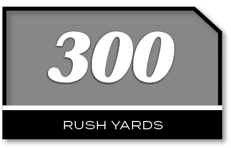 300,RUSH YARD