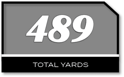 489,TOTAL YARD