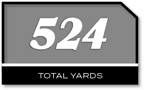 524,TOTAL YARD