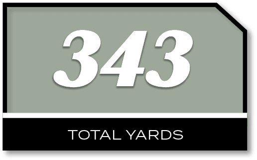 343,total YARD