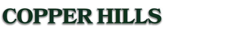 copper hills