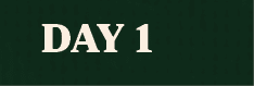 Day 