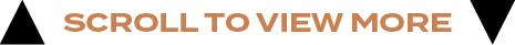 scroll to view mor