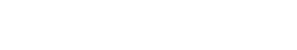 Auburn high school baseball team wins the VHSL Class 1 state championship