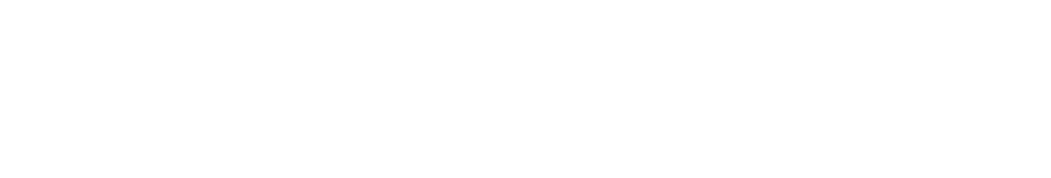 Auburn wins state baseball championship