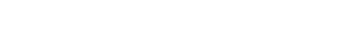 regional champions presentation