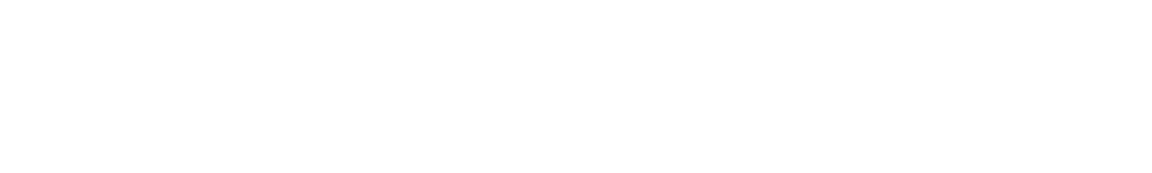 regional champions presentation