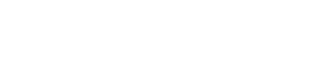 thank you champions fans!