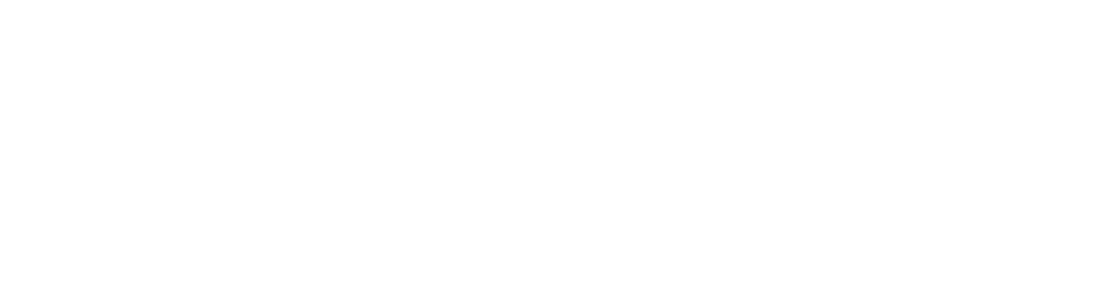 thank you champions fans!
