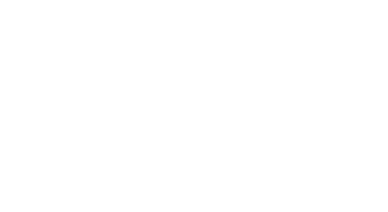 thank you champions fans!