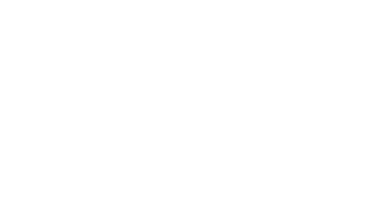 thank you champions fans!
