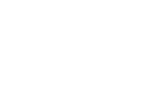 thank you cardinals fans!