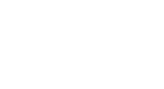 thank you cardinals fans!