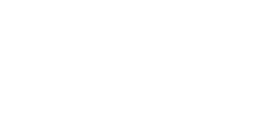 CVC Colonial Division Champions