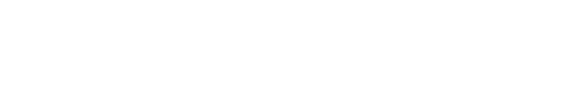 HOME RUN CELEBRATION