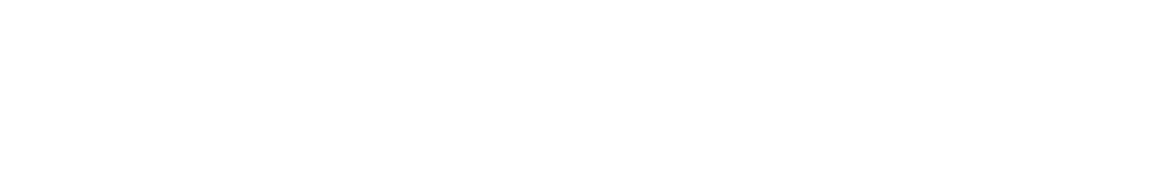 HOME RUN CELEBRATION