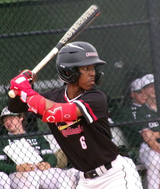 KODAK Digital Still Camera