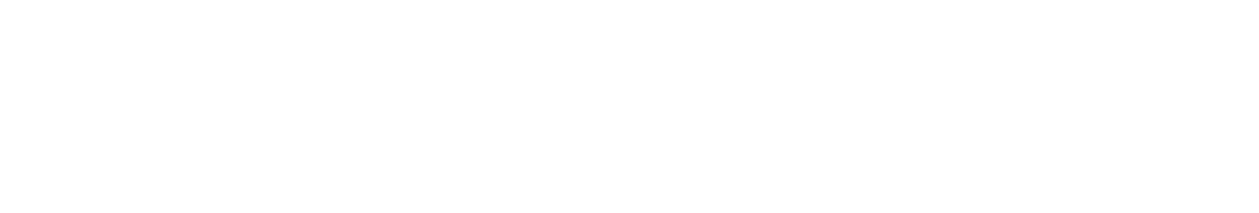 2025 Georgia Preview: Lowndes Vikings