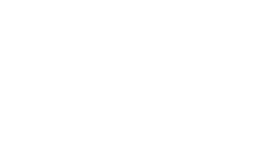thank you vikings fans!