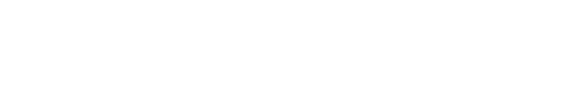 new diana eagles vs Palestine wildcats game highlights