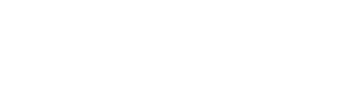 thank you vikings fans!