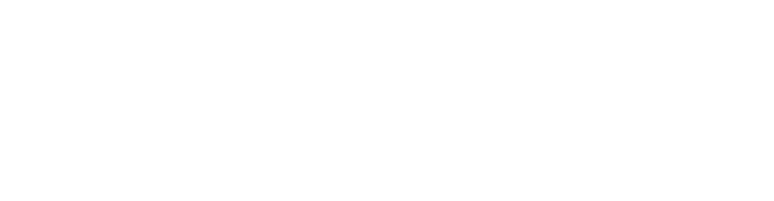thank you cardinals fans!