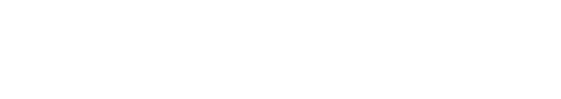 spartan’s history