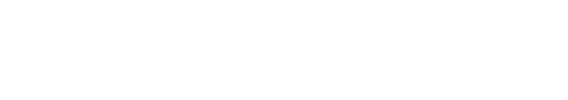 spartan’s history