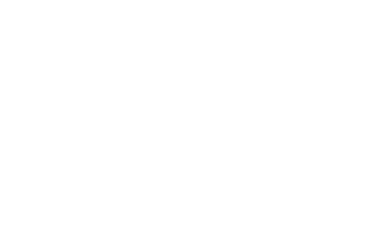 thank you rocks fans!