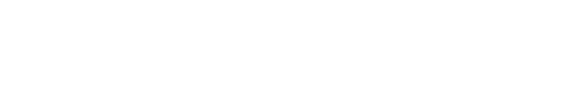 Newsday’s top 100 Long Island boys lacrosse players for 2025