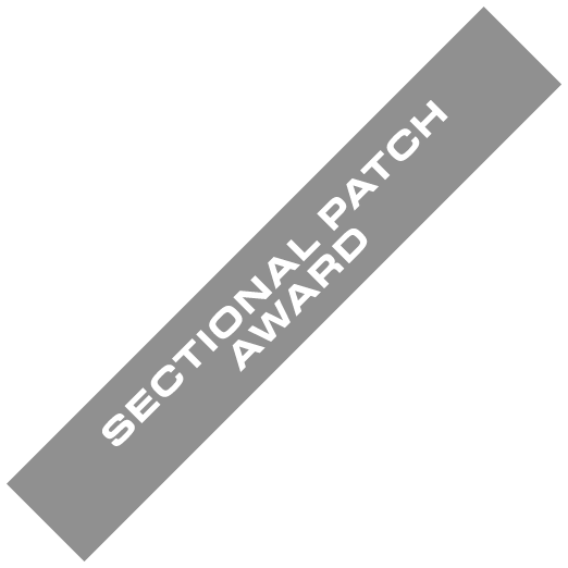 SECTIONAL PATCH AWARD