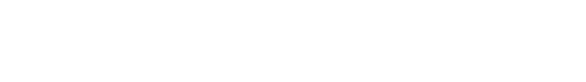 niskayuna lacrosse 2025 captains