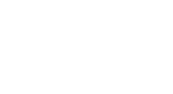 thank you bisons fans!