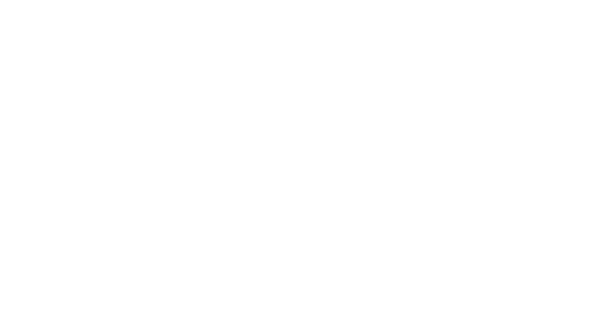 thank you bisons fans!