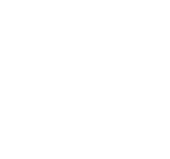 6,STEAL