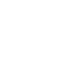 3,STEAL