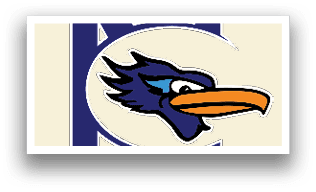 A blue and white bird with a large beak and a black eye. AI generated content