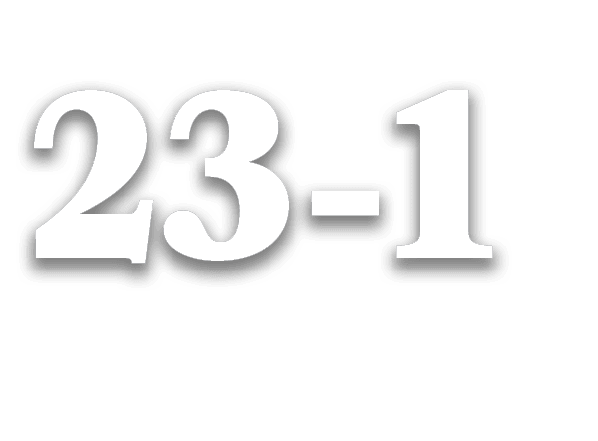 23 1