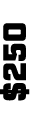 $250