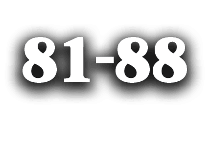 81 88