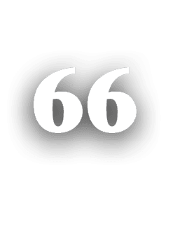 66