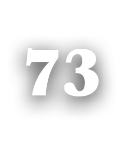 73